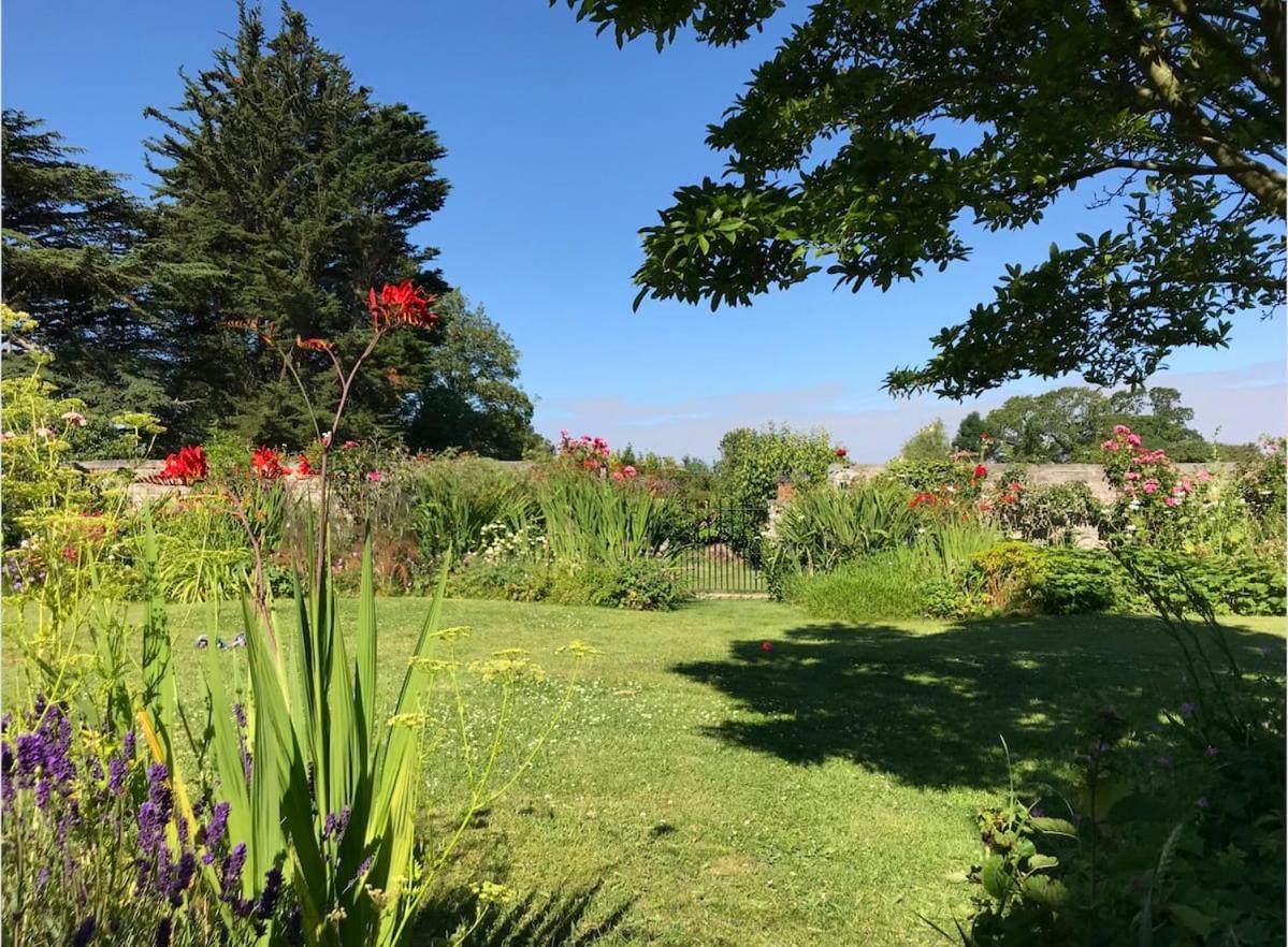 The Potting Shed, Self Contained, Detached Retreat In Shapwick Village Eksteriør bilde