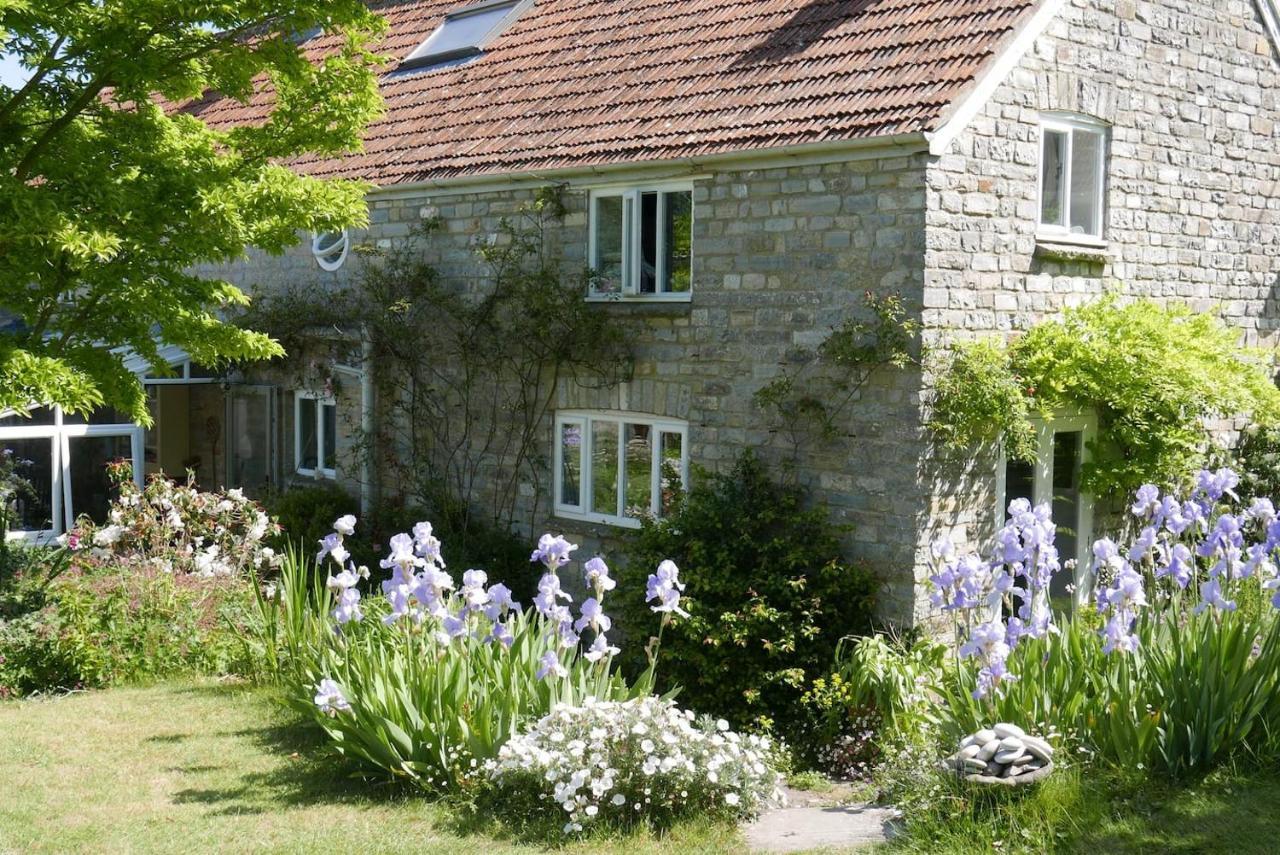 The Potting Shed, Self Contained, Detached Retreat In Shapwick Village Eksteriør bilde