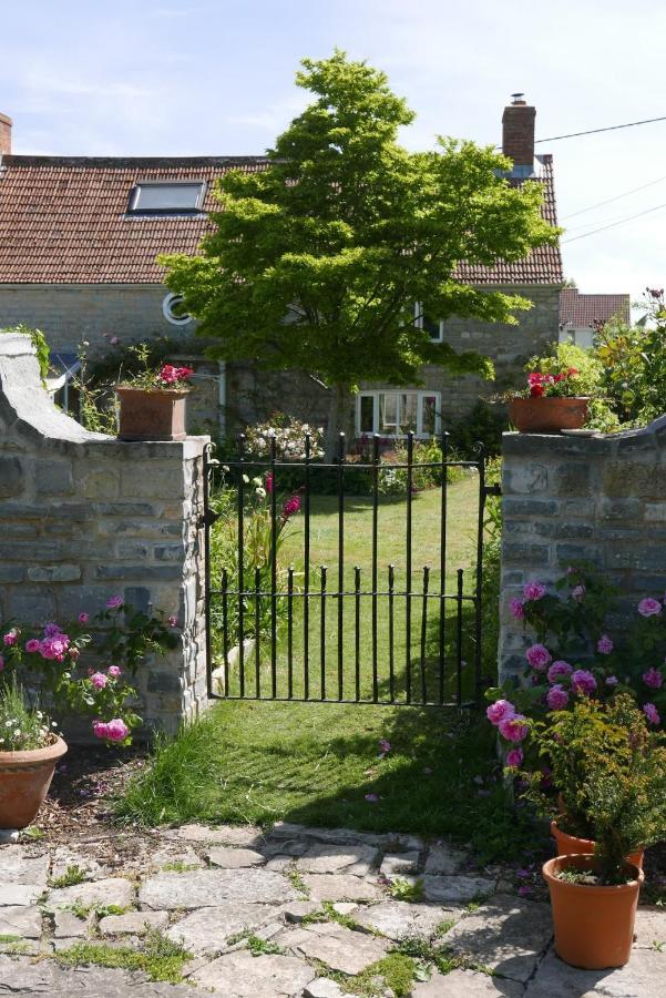 The Potting Shed, Self Contained, Detached Retreat In Shapwick Village Eksteriør bilde